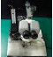 Microscope